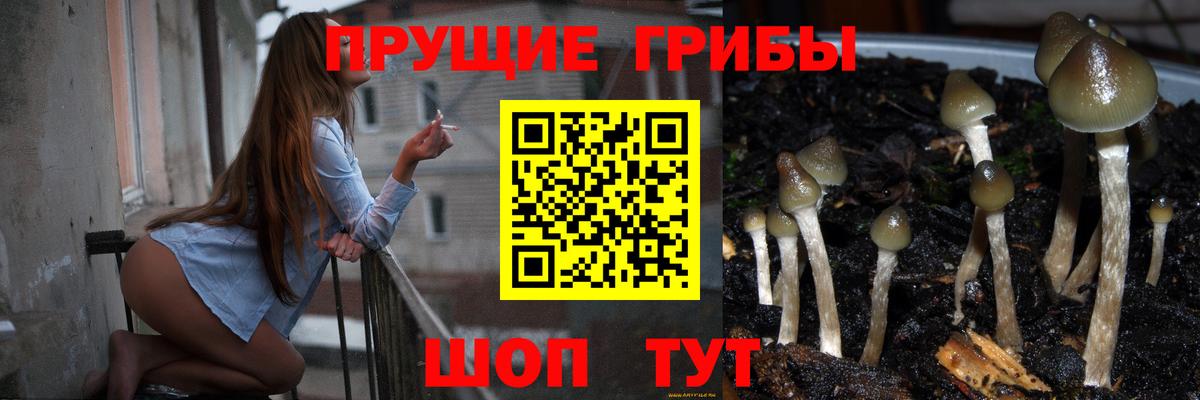 Псилоцибиновые грибы GOLDEN TEACHER Раменское